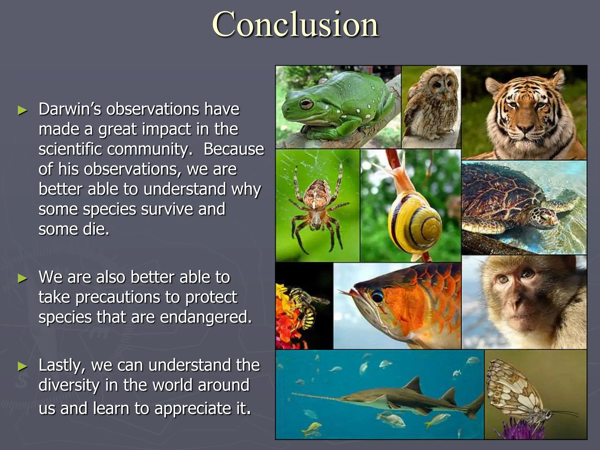 Conclusion
► Darwin’s observations have
made a great impact in the
scientific community. Because
of his observations, we are
better able to understand why
some species survive and
some die.
► We are also better able to
take precautions to protect
species that are endangered.
► Lastly, we can understand the
diversity in the world around
us and learn to appreciate it.
 