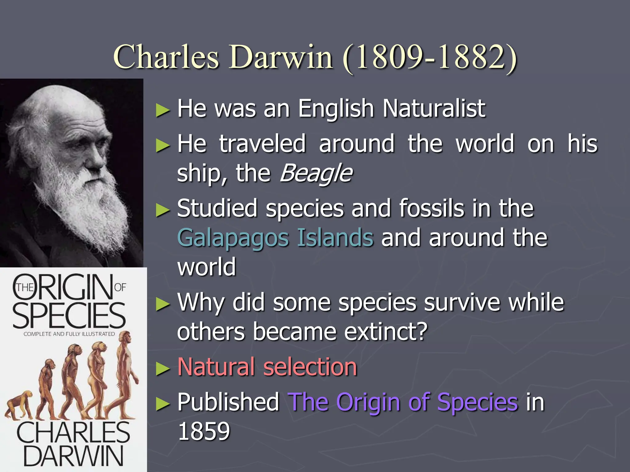 Charles Darwin (1809-1882)
► He was an English Naturalist
► He traveled around the world on his
ship, the Beagle
► Studied species and fossils in the
Galapagos Islands and around the
world
► Why did some species survive while
others became extinct?
► Natural selection
► Published The Origin of Species in
1859
 