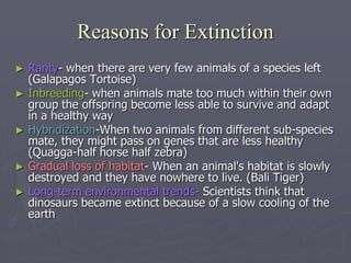 Reasons for Extinction
► Rarity- when there are very few animals of a species left
(Galapagos Tortoise)
► Inbreeding- when animals mate too much within their own
group the offspring become less able to survive and adapt
in a healthy way
► Hybridization-When two animals from different sub-species
mate, they might pass on genes that are less healthy
(Quagga-half horse half zebra)
► Gradual loss of habitat- When an animal's habitat is slowly
destroyed and they have nowhere to live. (Bali Tiger)
► Long-term environmental trends- Scientists think that
dinosaurs became extinct because of a slow cooling of the
earth
 