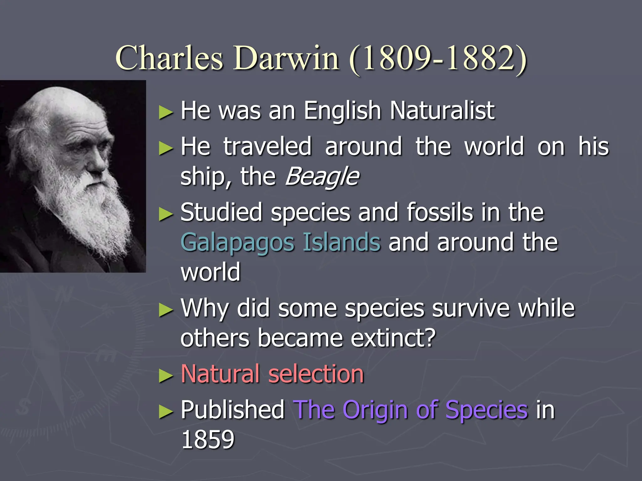 Charles Darwin (1809-1882)
► He was an English Naturalist
► He traveled around the world on his
ship, the Beagle
► Studied species and fossils in the
Galapagos Islands and around the
world
► Why did some species survive while
others became extinct?
► Natural selection
► Published The Origin of Species in
1859
 