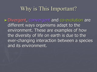 Why is This Important?
►Divergent, convergent and co-evolution are
different ways organisms adapt to the
environment. These are examples of how
the diversity of life on earth is due to the
ever-changing interaction between a species
and its environment.
 