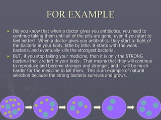 ► Did you know that when a doctor gives you antibiotics, you need to
continue taking them until all of the pills are gone, even if you start to
feel better? When a doctor gives you antibiotics, they start to fight of
the bacteria in your body, little by little. It starts with the weak
bacteria, and eventually kills the strongest bacteria.
► BUT, if you stop taking your medicine, then it is only the STRONG
bacteria that are left in your body. That means that they will continue
to reproduce and become stronger and stronger, and it will be much
harder for the medicine to kill them. This is an example of natural
selection because the strong bacteria survives and grows.
FOR EXAMPLE
 