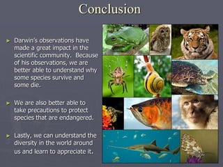 Conclusion
► Darwin’s observations have
made a great impact in the
scientific community. Because
of his observations, we are
better able to understand why
some species survive and
some die.
► We are also better able to
take precautions to protect
species that are endangered.
► Lastly, we can understand the
diversity in the world around
us and learn to appreciate it.
 
