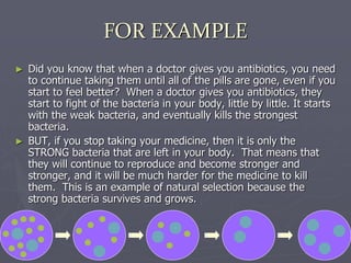 ► Did you know that when a doctor gives you antibiotics, you need
to continue taking them until all of the pills are gone, even if you
start to feel better? When a doctor gives you antibiotics, they
start to fight of the bacteria in your body, little by little. It starts
with the weak bacteria, and eventually kills the strongest
bacteria.
► BUT, if you stop taking your medicine, then it is only the
STRONG bacteria that are left in your body. That means that
they will continue to reproduce and become stronger and
stronger, and it will be much harder for the medicine to kill
them. This is an example of natural selection because the
strong bacteria survives and grows.
FOR EXAMPLE
 