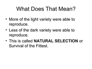 What Does That Mean?
• More of the light variety were able to
reproduce.
• Less of the dark variety were able to
reproduce.
• This is called NATURAL SELECTION or
Survival of the Fittest.

 