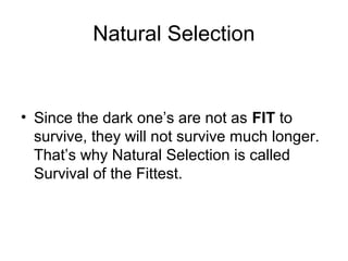 Natural Selection

• Since the dark one’s are not as FIT to
survive, they will not survive much longer.
That’s why Natural Selection is called
Survival of the Fittest.

 
