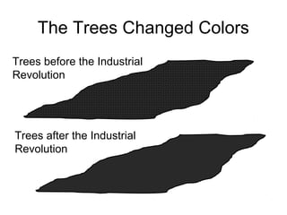 The Trees Changed Colors
Trees before the Industrial
Revolution

Trees after the Industrial
Revolution

 