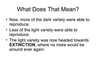 What Does That Mean?
• Now, more of the dark variety were able to
reproduce.
• Less of the light variety were able to
reproduce.
• The light variety was now headed towards
EXTINCTION, where no more would be
around ever again.

 