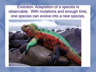 Evolution: Adaptation of a species is
observable. With mutations and enough time,
one species can evolve into a new species.
 