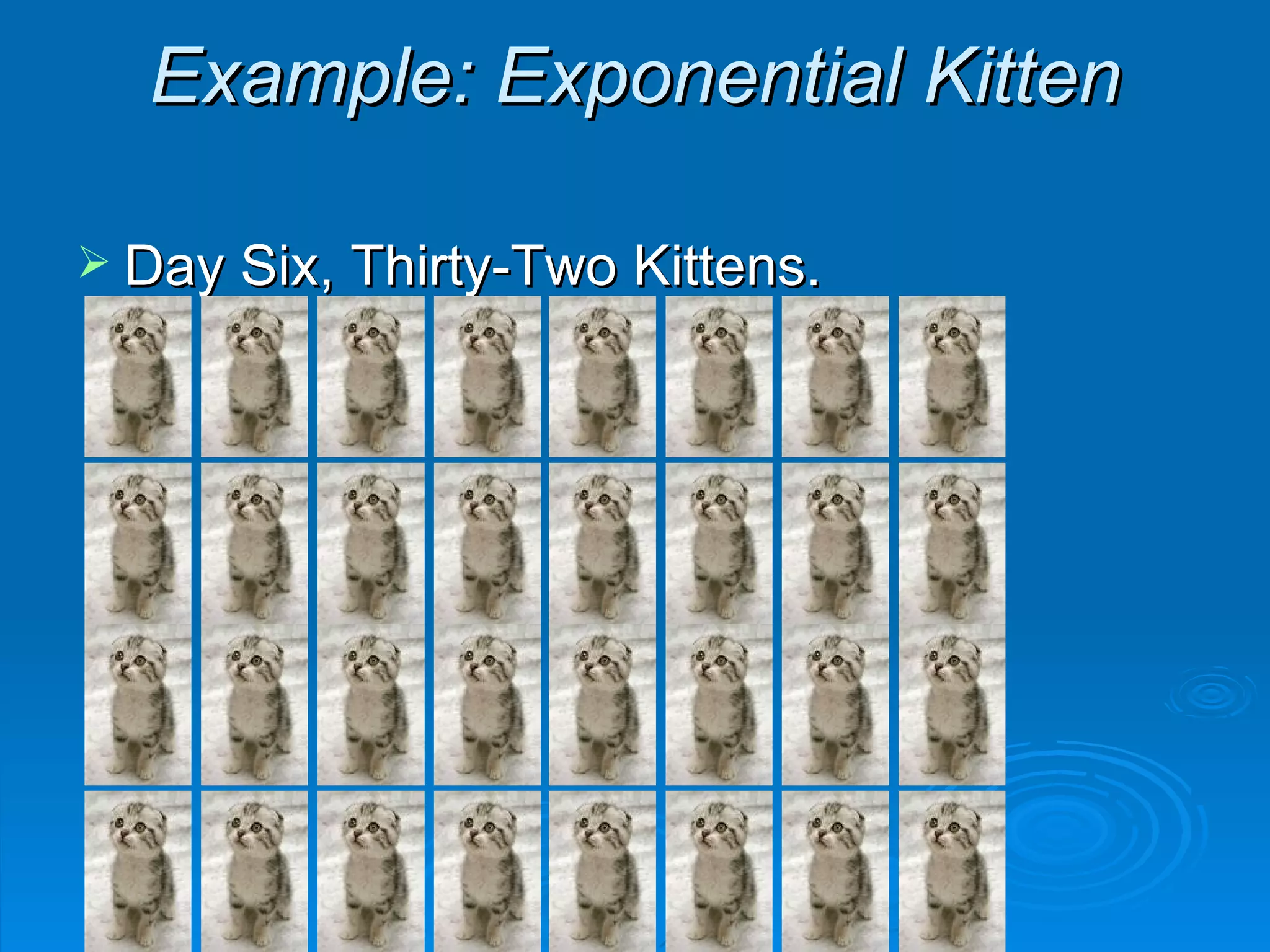 Example: Exponential Kitten Day Six, Thirty-Two Kittens. 