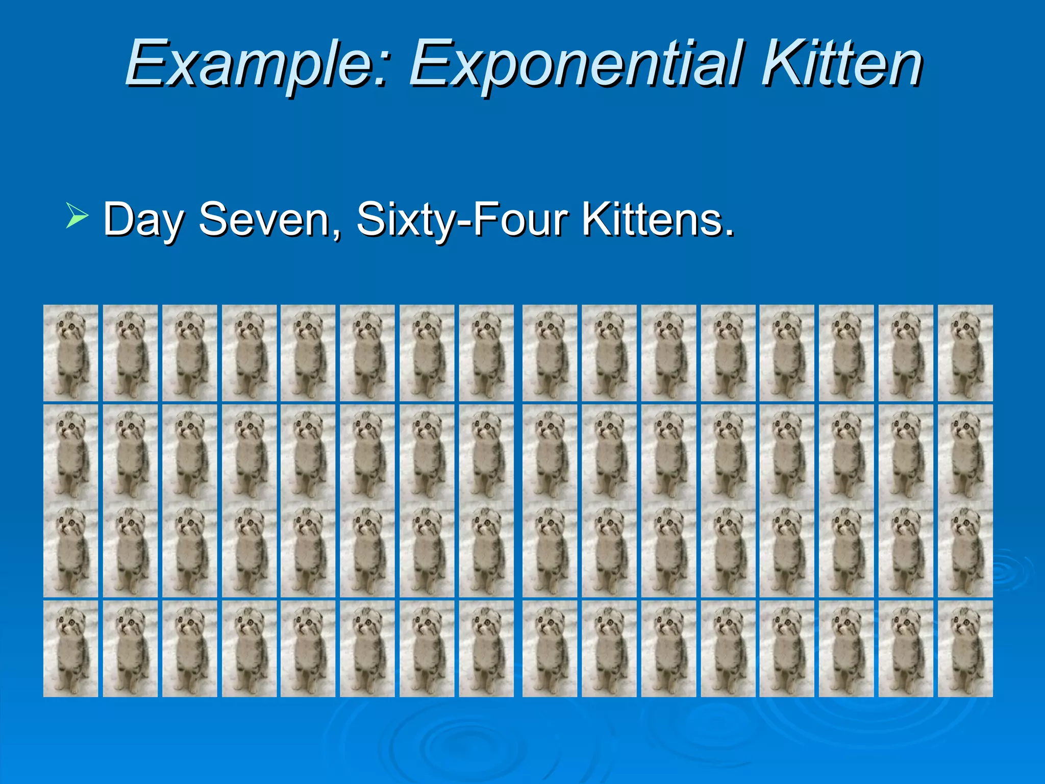 Example: Exponential Kitten Day Seven, Sixty-Four Kittens.  