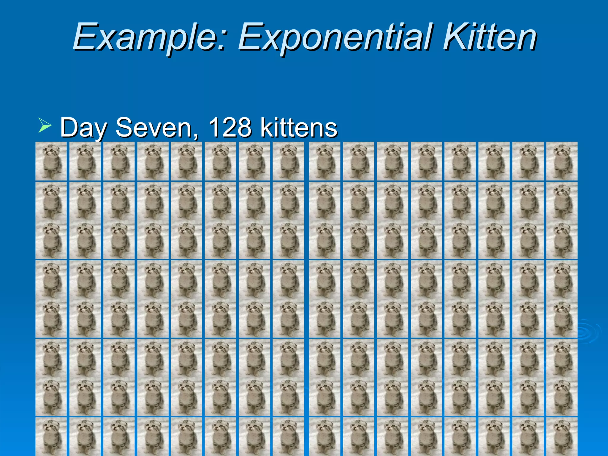 Example: Exponential Kitten Day Seven, 128 kittens 