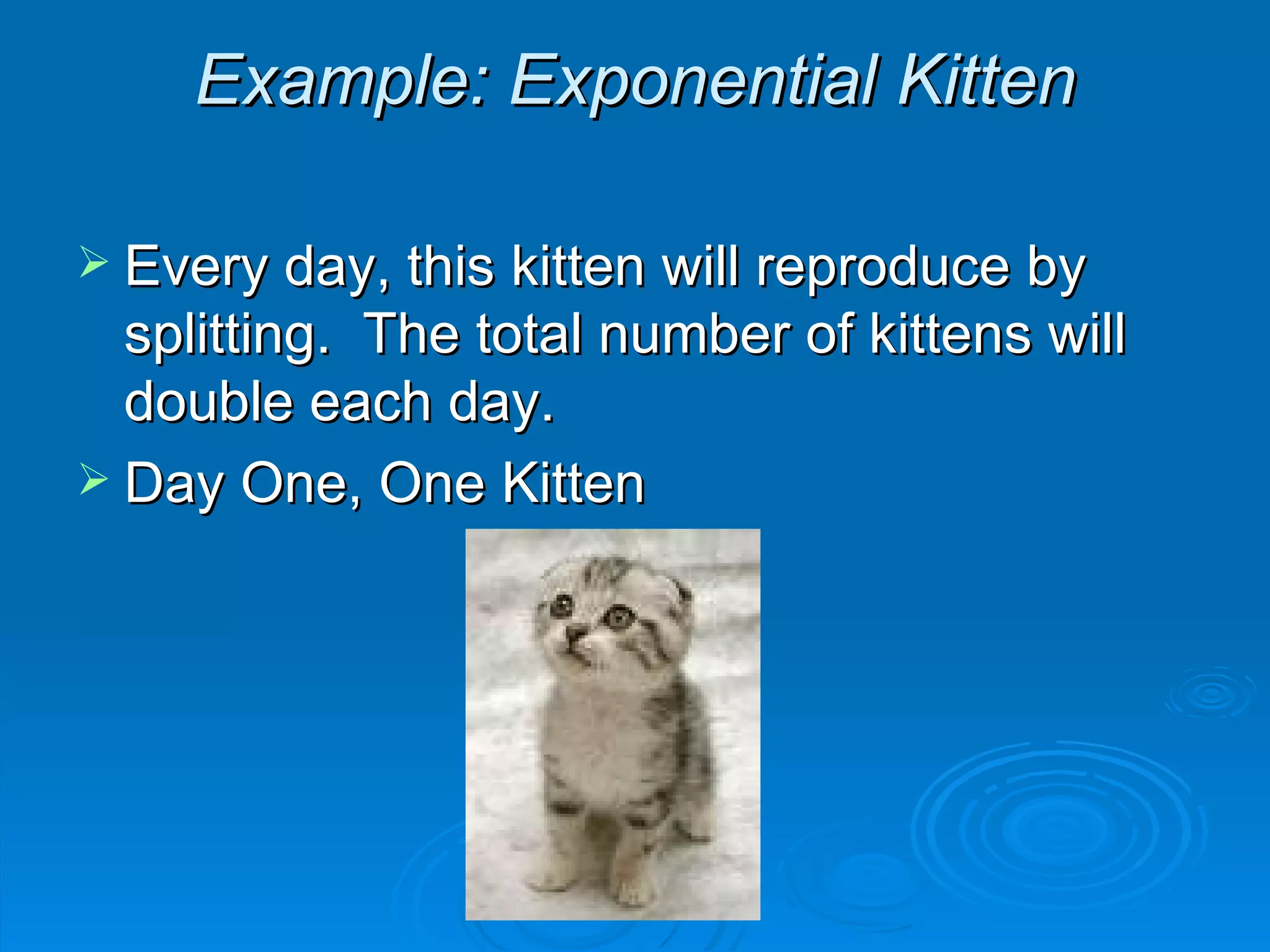 Example: Exponential Kitten Every day, this kitten will reproduce by splitting.  The total number of kittens will double each day. Day One, One Kitten 