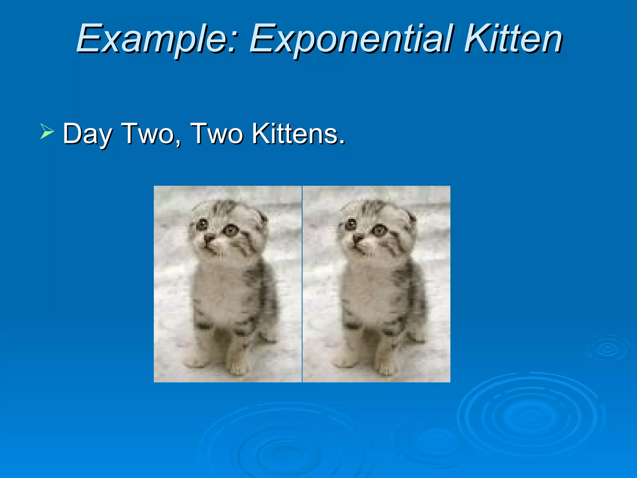 Example: Exponential Kitten Day Two, Two Kittens. 