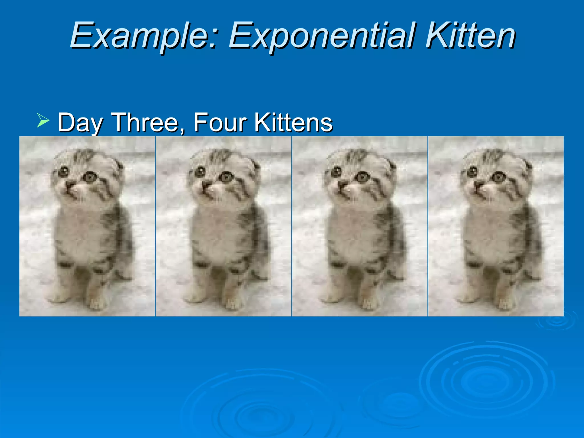 Example: Exponential Kitten Day Three, Four Kittens 