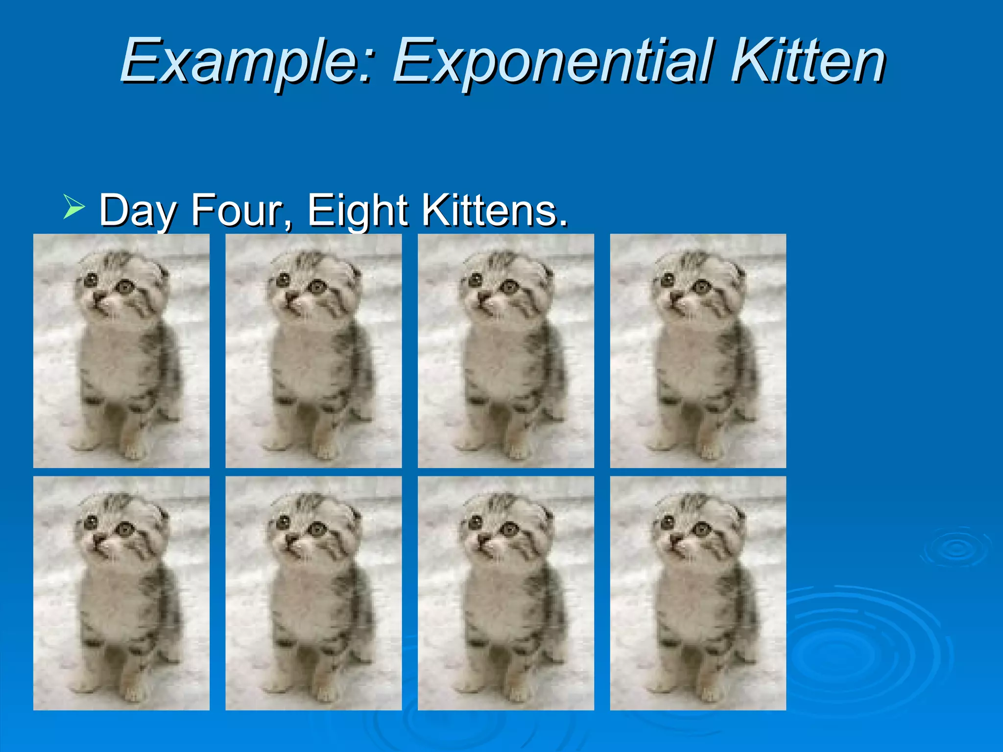 Example: Exponential Kitten Day Four, Eight Kittens. 