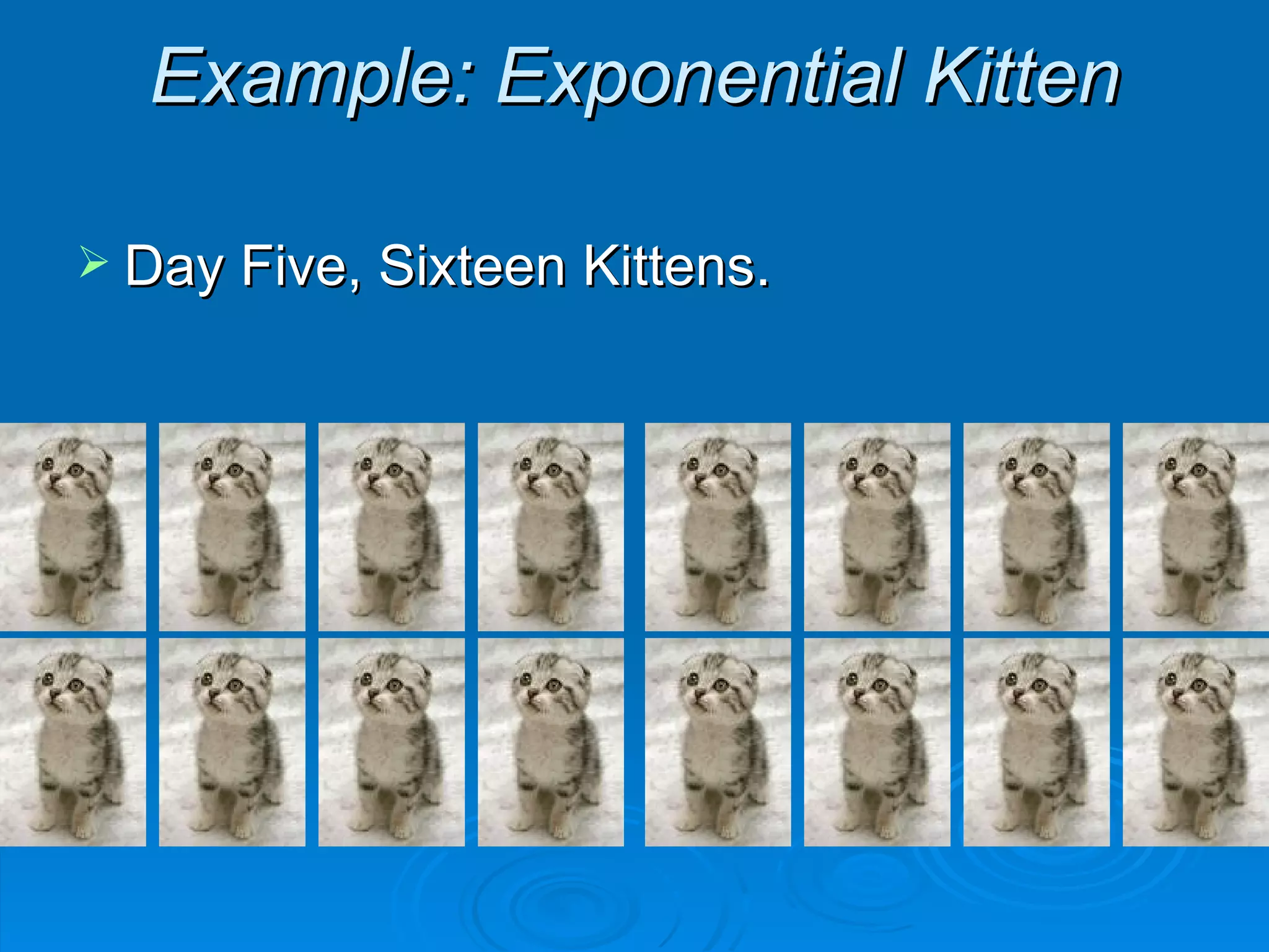 Example: Exponential Kitten Day Five, Sixteen Kittens. 