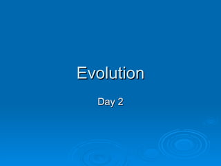 Evolution Day 2 