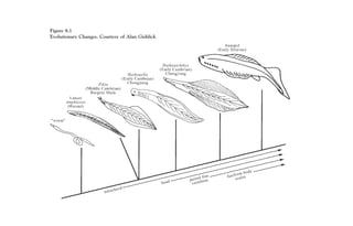 Figure 8.1
Evolutionary Changes. Courtesy of Alan Gishlick
 