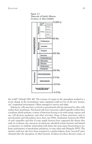 EVOLUTION                                                                          29

                         Figure 2.1
                         Timescale of Earth’s History.
                         Courtesy of Alan Gishlick




the world!” (Schopf 1992: 48). The increase of oxygen in the atmosphere resulted in a
severe change in the environment: many organisms could not live in the new “poison-
ous” oxygenated environment. Others managed to survive and adapt.
   Eukaryotic cells may have evolved as unnucleated cells incorporated by other cells
within their membranes. Nucleated cells have structures called organelles within their
cytoplasm which perform a variety of functions having to do with energy capture and
use, cell division, predation, and other activities. Some of these structures, such as
mitochondria and chloroplasts, have their own DNA. Similarities between the DNA
of such organelles and that of some simple bacteria have supported the theory that
early in evolution, the ancestors of eukaryotes absorbed certain bacteria and formed
a cooperative or symbiotic relationship with them, the newcomers functioning to en-
hance performance of metabolism, predation, or some other task (Margulis 1993). The
nucleus itself may also have been acquired in a similar fashion, from “recycled” parts
obtained after the absorption of other bacteria. Evidence for these theories comes, of
 