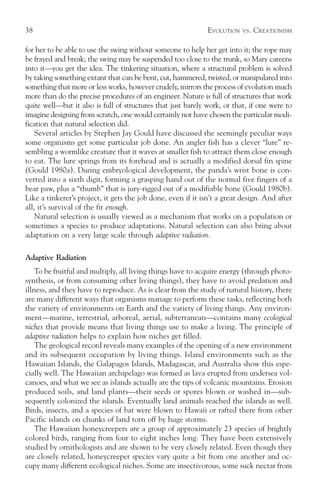 38                                                            EVOLUTION   VS.   CREATIONISM

for her to be able to use the swing without someone to help her get into it; the rope may
be frayed and break; the swing may be suspended too close to the trunk, so Mary careens
into it—you get the idea. The tinkering situation, where a structural problem is solved
by taking something extant that can be bent, cut, hammered, twisted, or manipulated into
something that more or less works, however crudely, mirrors the process of evolution much
more than do the precise procedures of an engineer. Nature is full of structures that work
quite well—but it also is full of structures that just barely work, or that, if one were to
imagine designing from scratch, one would certainly not have chosen the particular modi-
fication that natural selection did.
    Several articles by Stephen Jay Gould have discussed the seemingly peculiar ways
some organisms get some particular job done. An angler fish has a clever “lure” re-
sembling a wormlike creature that it waves at smaller fish to attract them close enough
to eat. The lure springs from its forehead and is actually a modified dorsal fin spine
(Gould 1980a). During embryological development, the panda’s wrist bone is con-
verted into a sixth digit, forming a grasping hand out of the normal five fingers of a
bear paw, plus a “thumb” that is jury-rigged out of a modifiable bone (Gould 1980b).
Like a tinkerer’s project, it gets the job done, even if it isn’t a great design. And after
all, it’s survival of the fit enough.
    Natural selection is usually viewed as a mechanism that works on a population or
sometimes a species to produce adaptations. Natural selection can also bring about
adaptation on a very large scale through adaptive radiation.

Adaptive Radiation
    To be fruitful and multiply, all living things have to acquire energy (through photo-
synthesis, or from consuming other living things), they have to avoid predation and
illness, and they have to reproduce. As is clear from the study of natural history, there
are many different ways that organisms manage to perform these tasks, reflecting both
the variety of environments on Earth and the variety of living things. Any environ-
ment—marine, terrestrial, arboreal, aerial, subterranean—contains many ecological
niches that provide means that living things use to make a living. The principle of
adaptive radiation helps to explain how niches get filled.
    The geological record reveals many examples of the opening of a new environment
and its subsequent occupation by living things. Island environments such as the
Hawaiian Islands, the Galapagos Islands, Madagascar, and Australia show this espe-
cially well. The Hawaiian archipelago was formed as lava erupted from undersea vol-
canoes, and what we see as islands actually are the tips of volcanic mountains. Erosion
produced soils, and land plants—their seeds or spores blown or washed in—sub-
sequently colonized the islands. Eventually land animals reached the islands as well.
Birds, insects, and a species of bat were blown to Hawaii or rafted there from other
Pacific islands on chunks of land torn off by huge storms.
    The Hawaiian honeycreepers are a group of approximately 23 species of brightly
colored birds, ranging from four to eight inches long. They have been extensively
studied by ornithologists and are shown to be very closely related. Even though they
are closely related, honeycreeper species vary quite a bit from one another and oc-
cupy many different ecological niches. Some are insectivorous, some suck nectar from
 