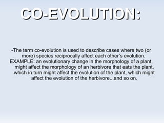 Evolution webquest | PPT