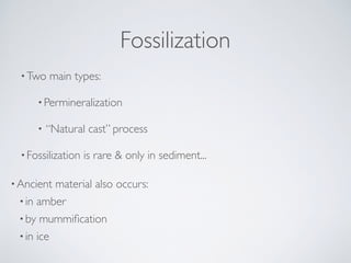 Fossilization
•Two main types:
•Permineralization
• “Natural cast” process
•Fossilization is rare & only in sediment...
•A...