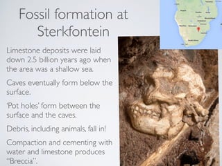 Fossil formation at
Sterkfontein
Limestone deposits were laid
down 2.5 billion years ago when
the area was a shallow sea.
...