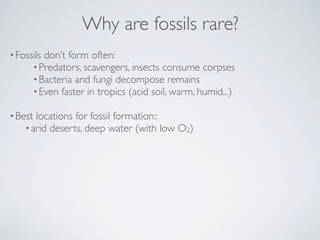 Why are fossils rare?
•Fossils don’t form often:
•Predators, scavengers, insects consume corpses
•Bacteria and fungi decom...