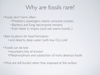 Why are fossils rare?
•Fossils don’t form often:
•Predators, scavengers, insects consume corpses
•Bacteria and fungi decom...