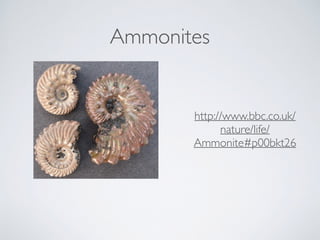 Ammonites
http://www.bbc.co.uk/
nature/life/
Ammonite#p00bkt26
 