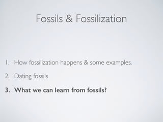 Fossils & Fossilization
1. How fossilization happens & some examples.
2. Dating fossils
3. What we can learn from fossils?
 
