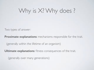 Why is X? Why does ?
Two types of answer:
Proximate explanations: mechanisms responsible for the trait.
(generally within ...