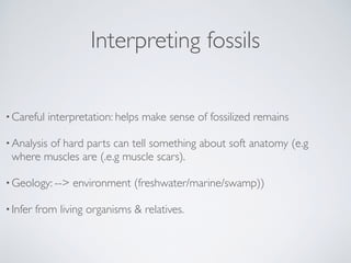 Interpreting fossils
•Careful interpretation: helps make sense of fossilized remains
•Analysis of hard parts can tell some...