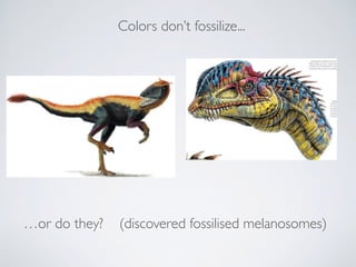 …or do they? (discovered fossilised melanosomes)
Colors don’t fossilize...
 