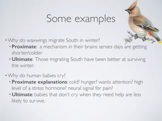 Some examples
•Why do waxwings migrate South in winter?
•Proximate: a mechanism in their brains senses days are getting
sh...
