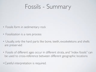 Fossils - Summary
• Fossils form in sedimentary rock
• Fossilization is a rare process
• Usually, only the hard parts like...