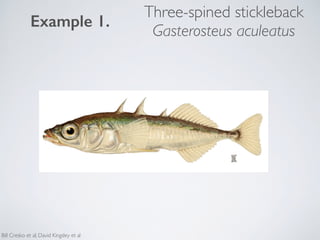 Three-spined stickleback
Gasterosteus aculeatus
Bill Cresko et al; David Kingsley et al
Example 1.
 