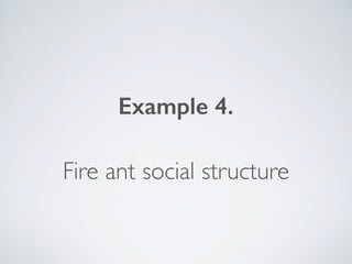 Example 4.
Fire ant social structure
 