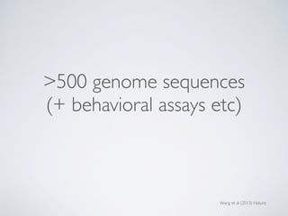 >500 genome sequences
(+ behavioral assays etc)
Wang et al (2013) Nature
 