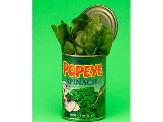 Evolution Marken Kommunikation