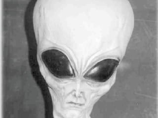 Evolution Marken Kommunikation