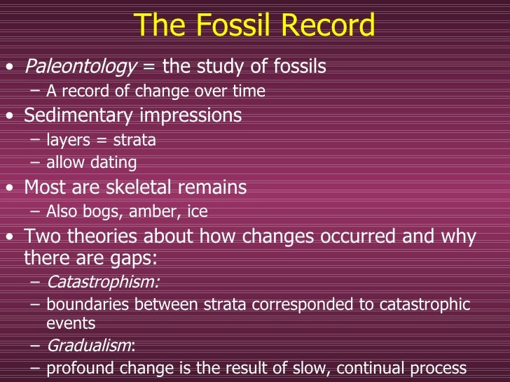 Fossil Record Definition And Examples Biology Dictionary