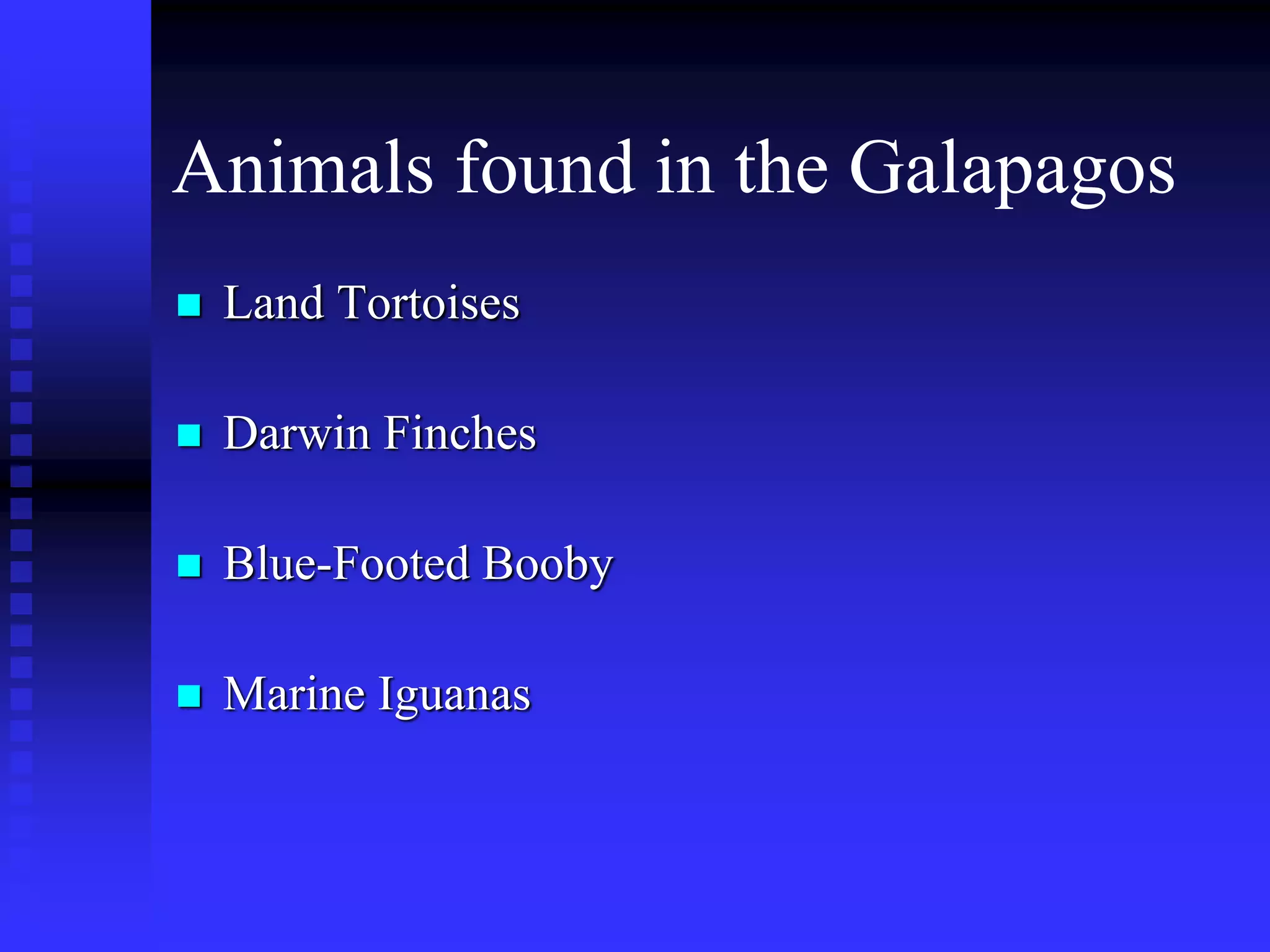 Animals found in the Galapagos
 Land Tortoises
 Darwin Finches
 Blue-Footed Booby
 Marine Iguanas
 