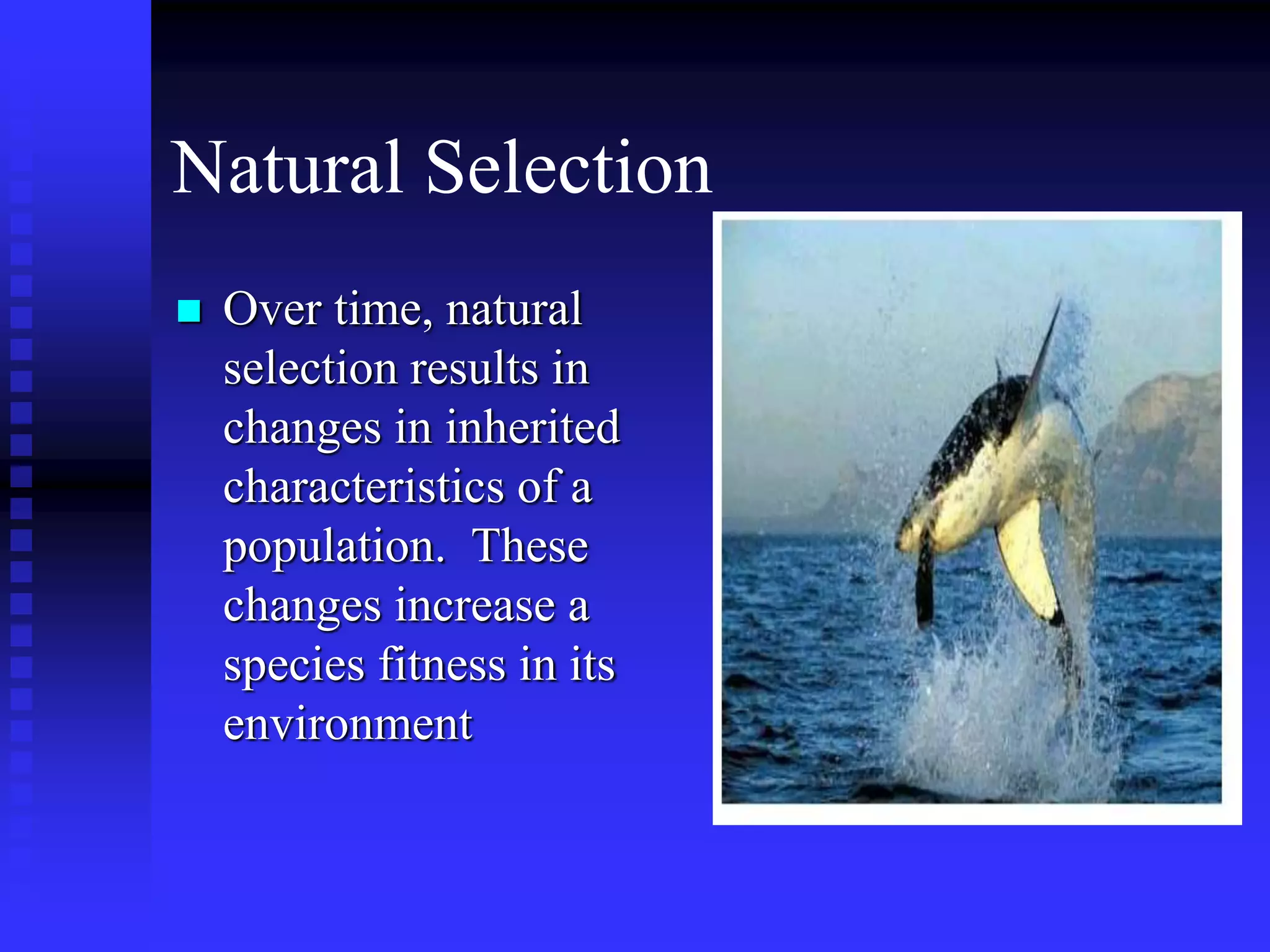 Natural Selection
 Over time, natural
selection results in
changes in inherited
characteristics of a
population. These
changes increase a
species fitness in its
environment
 