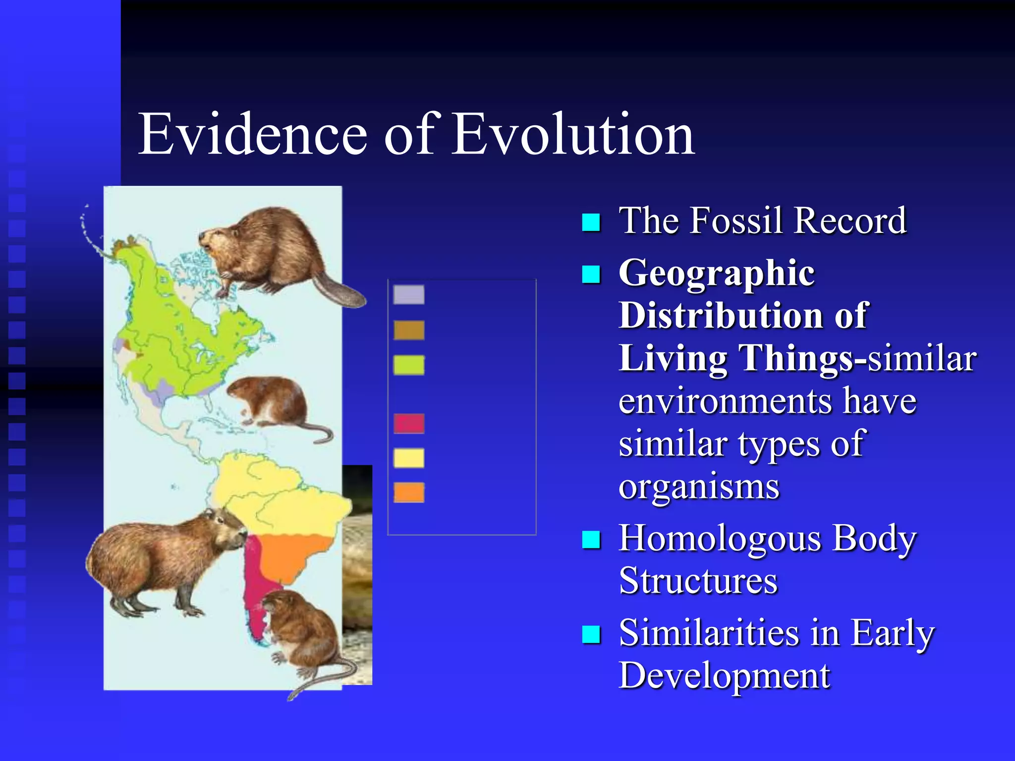 Evidence of Evolution
 The Fossil Record
 Geographic
Distribution of
Living Things-similar
environments have
similar types of
organisms
 Homologous Body
Structures
 Similarities in Early
Development
 