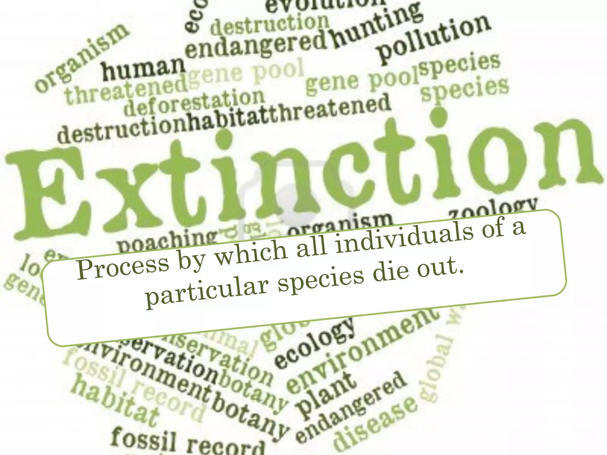 Process by which all individuals of a
particular species die out.
 