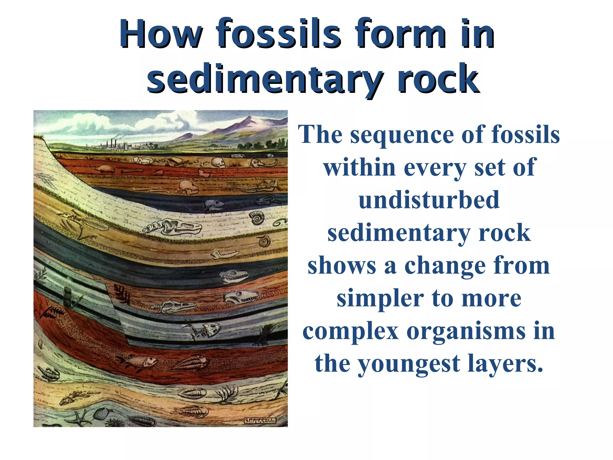 How fossils form inHow fossils form in
sedimentary rocksedimentary rock
The sequence of fossils
within every set of
undisturbed
sedimentary rock
shows a change from
simpler to more
complex organisms in
the youngest layers.
 