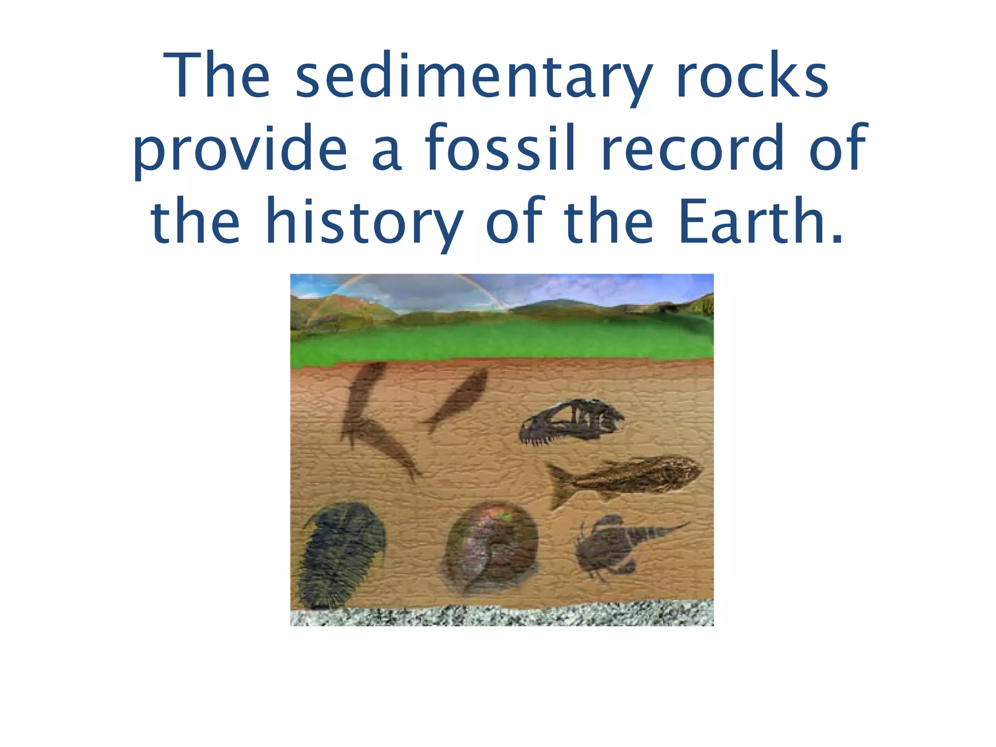 The sedimentary rocks
provide a fossil record of
the history of the Earth.
 