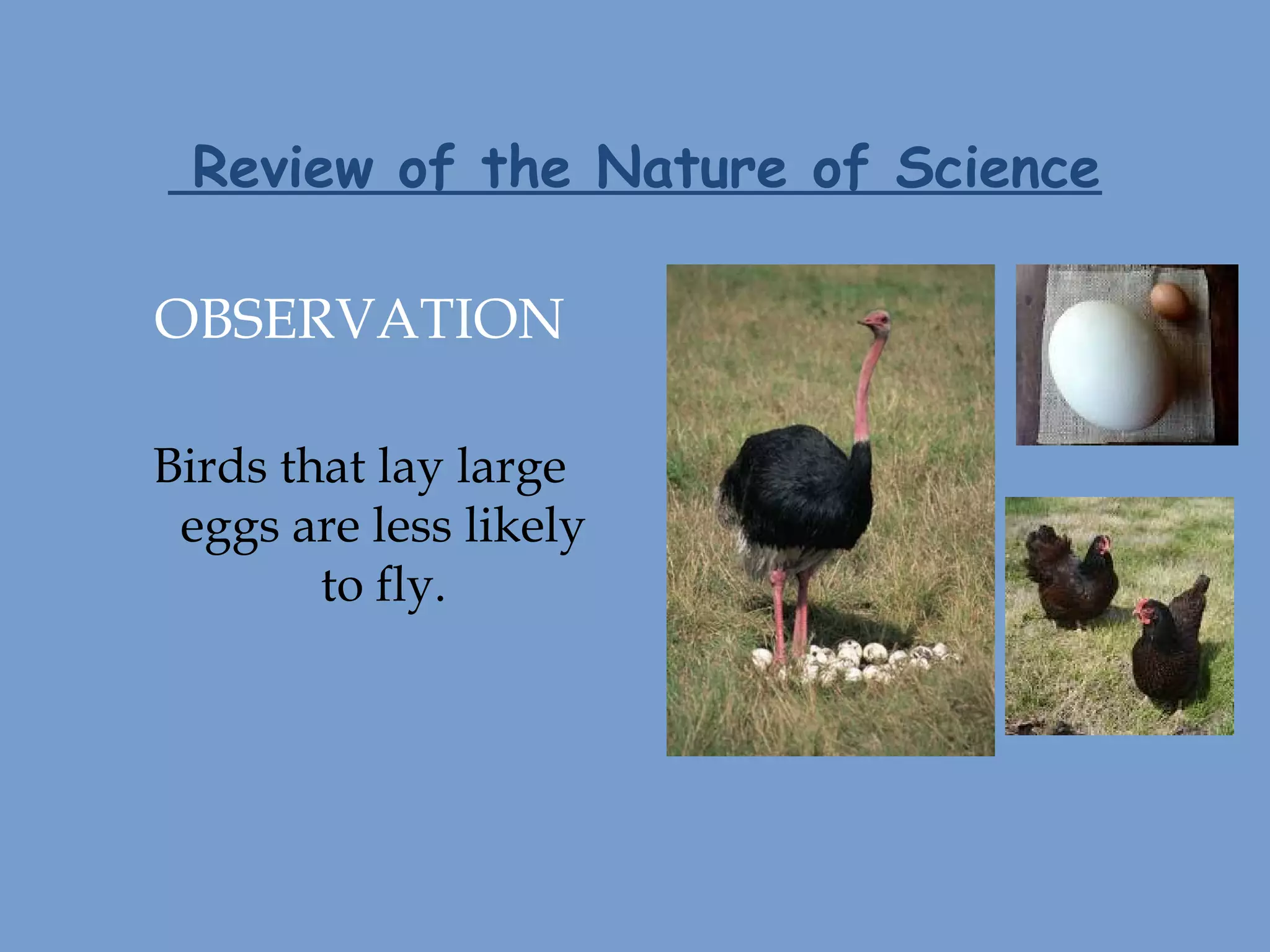 Review of the Nature of Science
OBSERVATION
Birds that lay large
eggs are less likely
to fly.
 